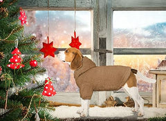 Fuzzy Dog Sweaters for Small Dogs Dog Hoodie Dog Clothes Warm Soft Cozy Dog Coats Hooded Sweatshirt Fleece Small Dog Hoodies Dog Sweater(Coffee-XS)