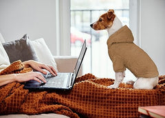 Fuzzy Dog Sweaters for Small Dogs Dog Hoodie Dog Clothes Warm Soft Cozy Dog Coats Hooded Sweatshirt Fleece Small Dog Hoodies Dog Sweater(Coffee-XS)
